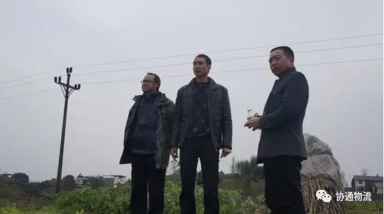 1552873509869242.jpg 6_看圖王.web.jpg