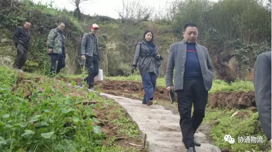 1552873519102772.jpg 7_看圖王.web.jpg